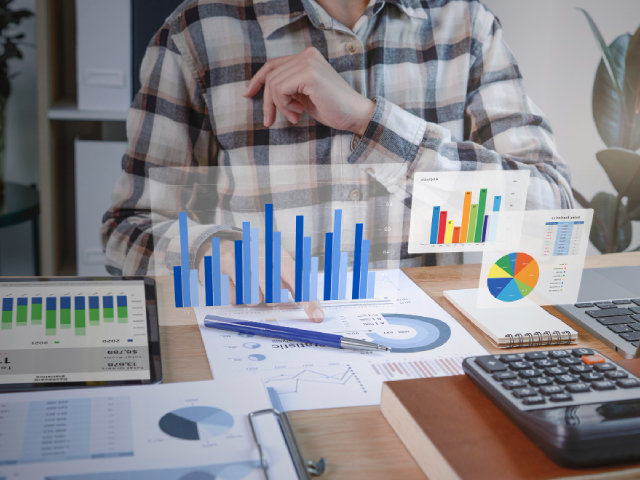 Financial Investor